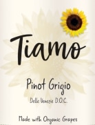 Tiamo Pinot Grigio 2021  Front Label