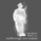 Innocent Bystander Marlborough Sauvignon Blanc 2023  Front Label