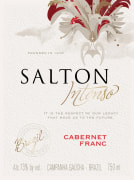 Vinicola Salton Intenso Cabernet Franc 2013  Front Label