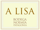 Bodega Noemia de Patagonia A Lisa Malbec 2021  Front Label