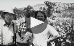 Caymus Winery Video